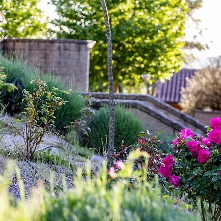 Bed & Bike Hotel Volterra